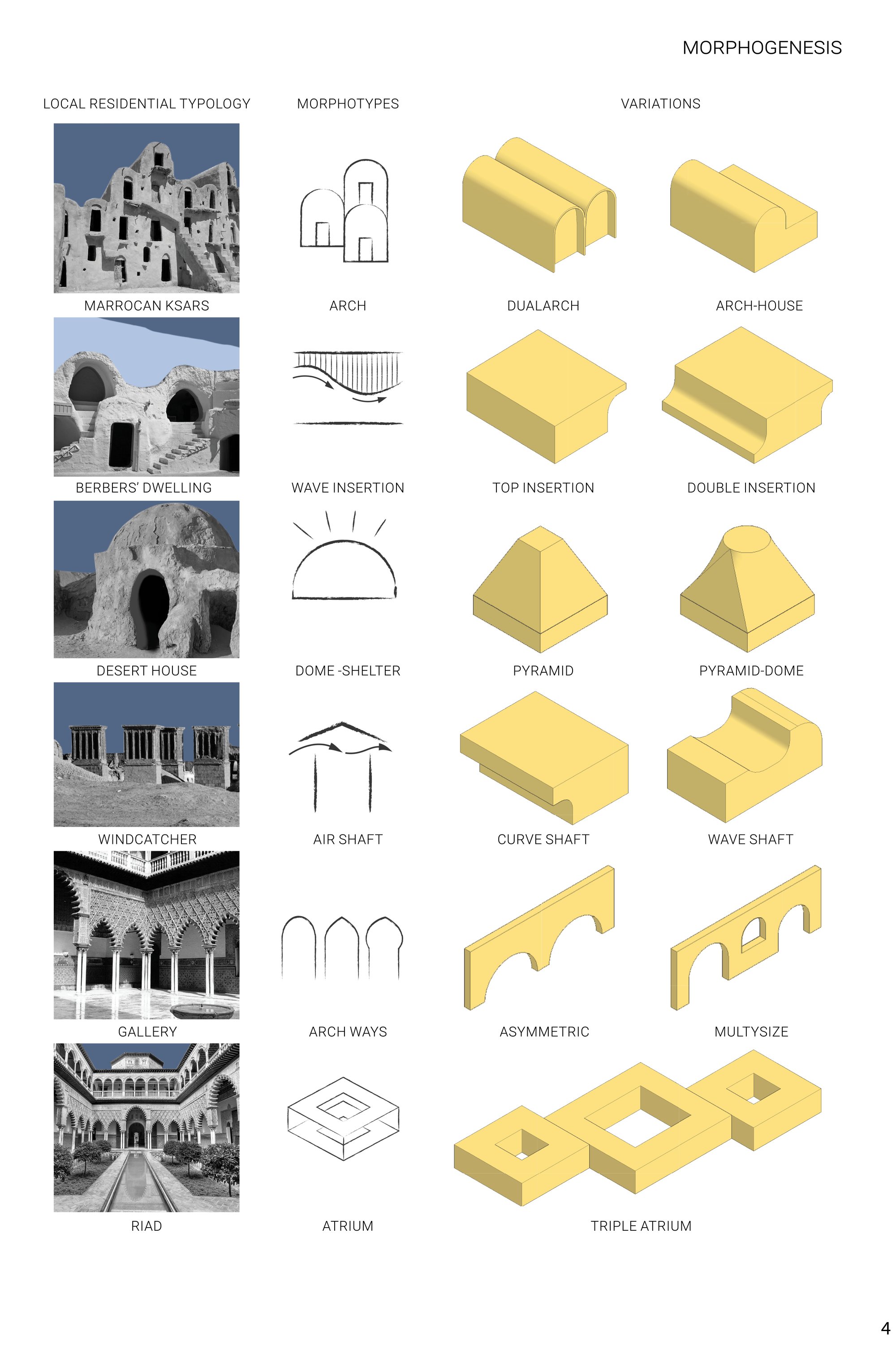 Morphotypes