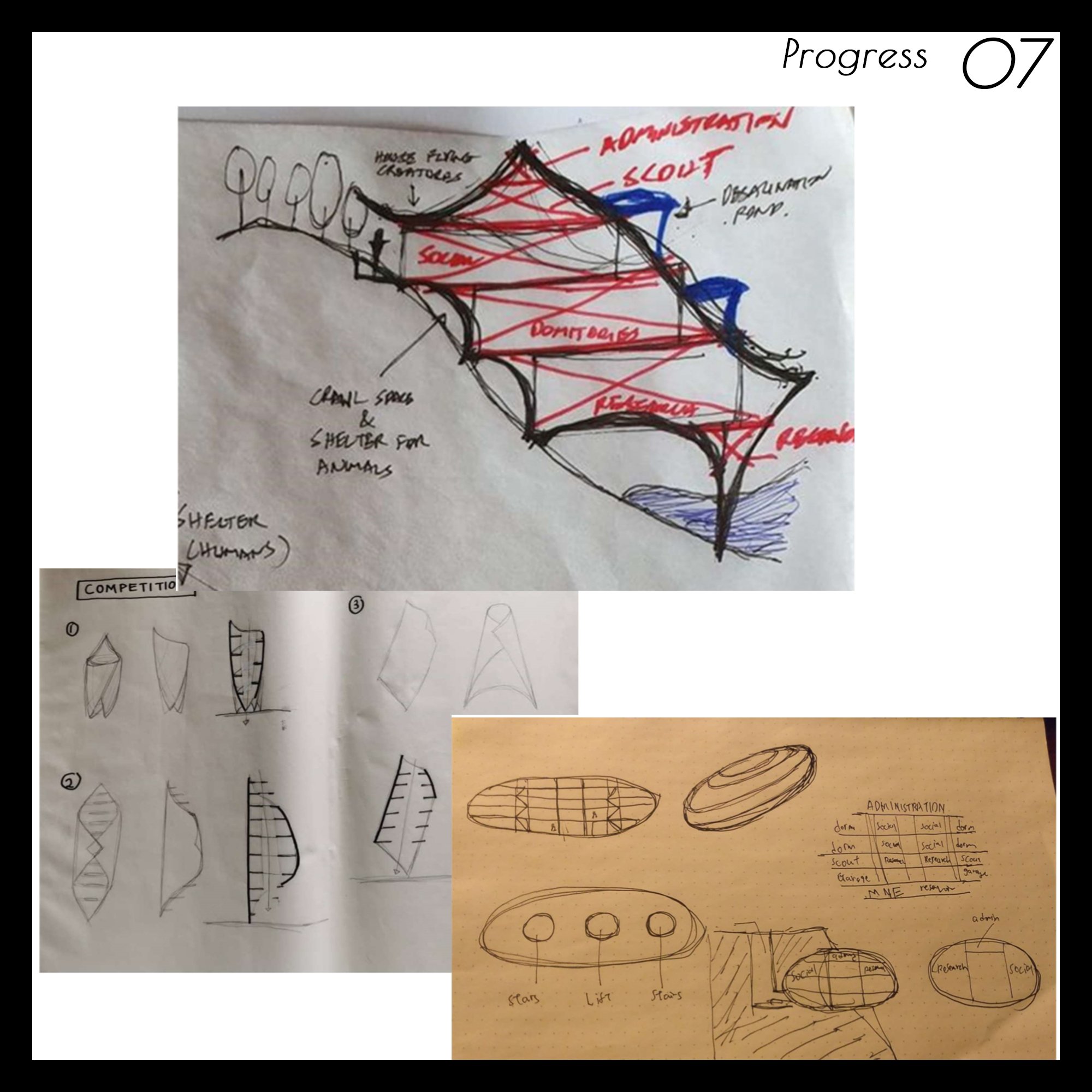 Progress 7