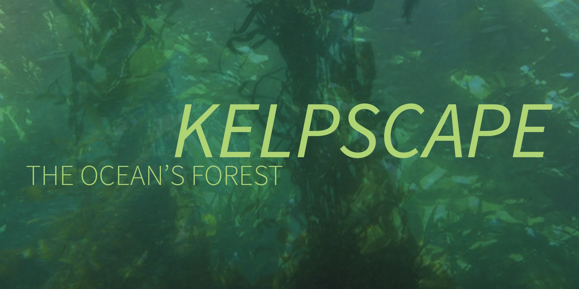Kelpscape
