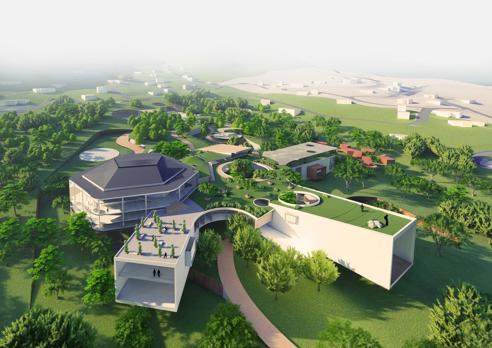 evergreen montserrat