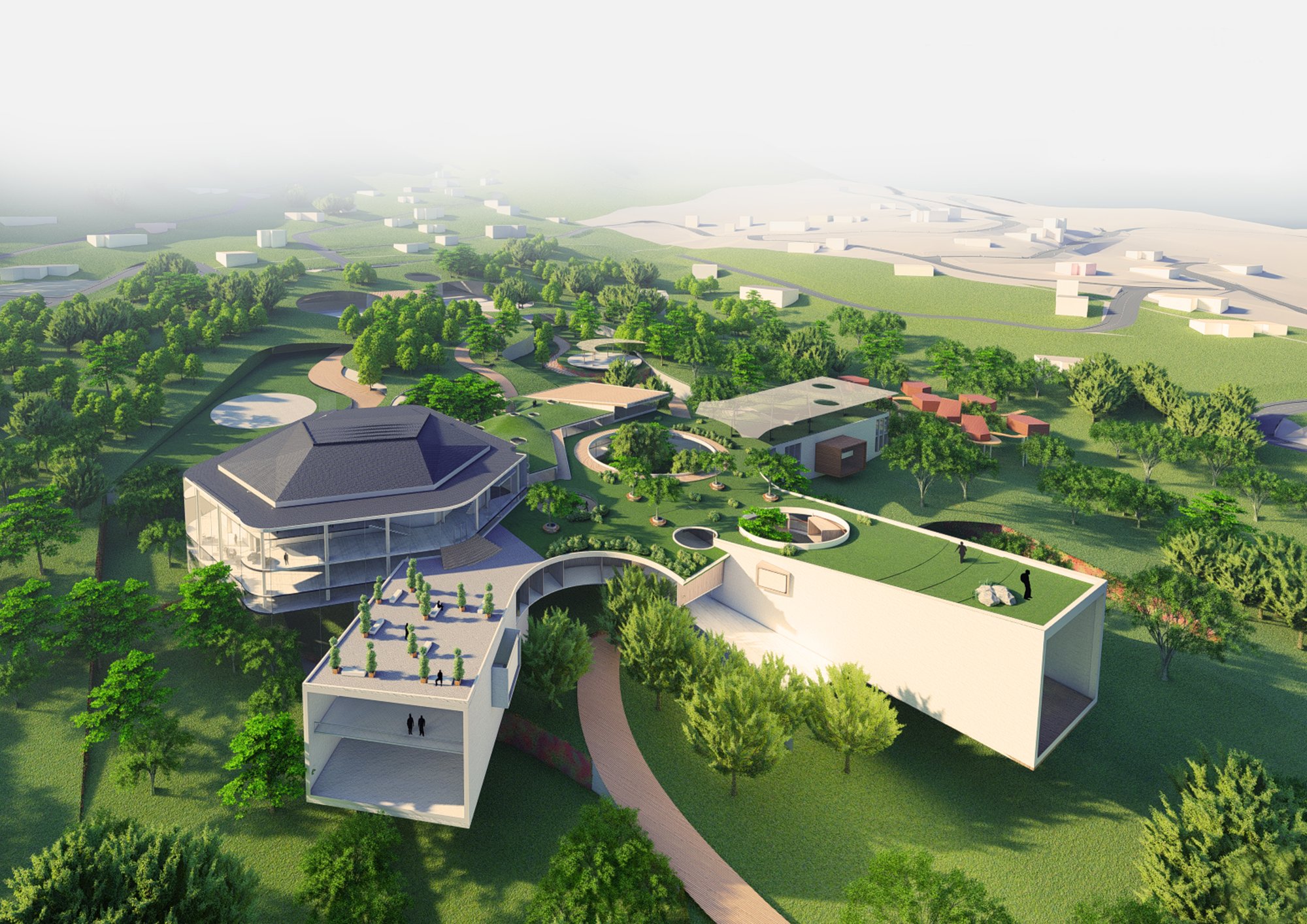 evergreen montserrat