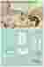 HOUSE TYPOLOGY II