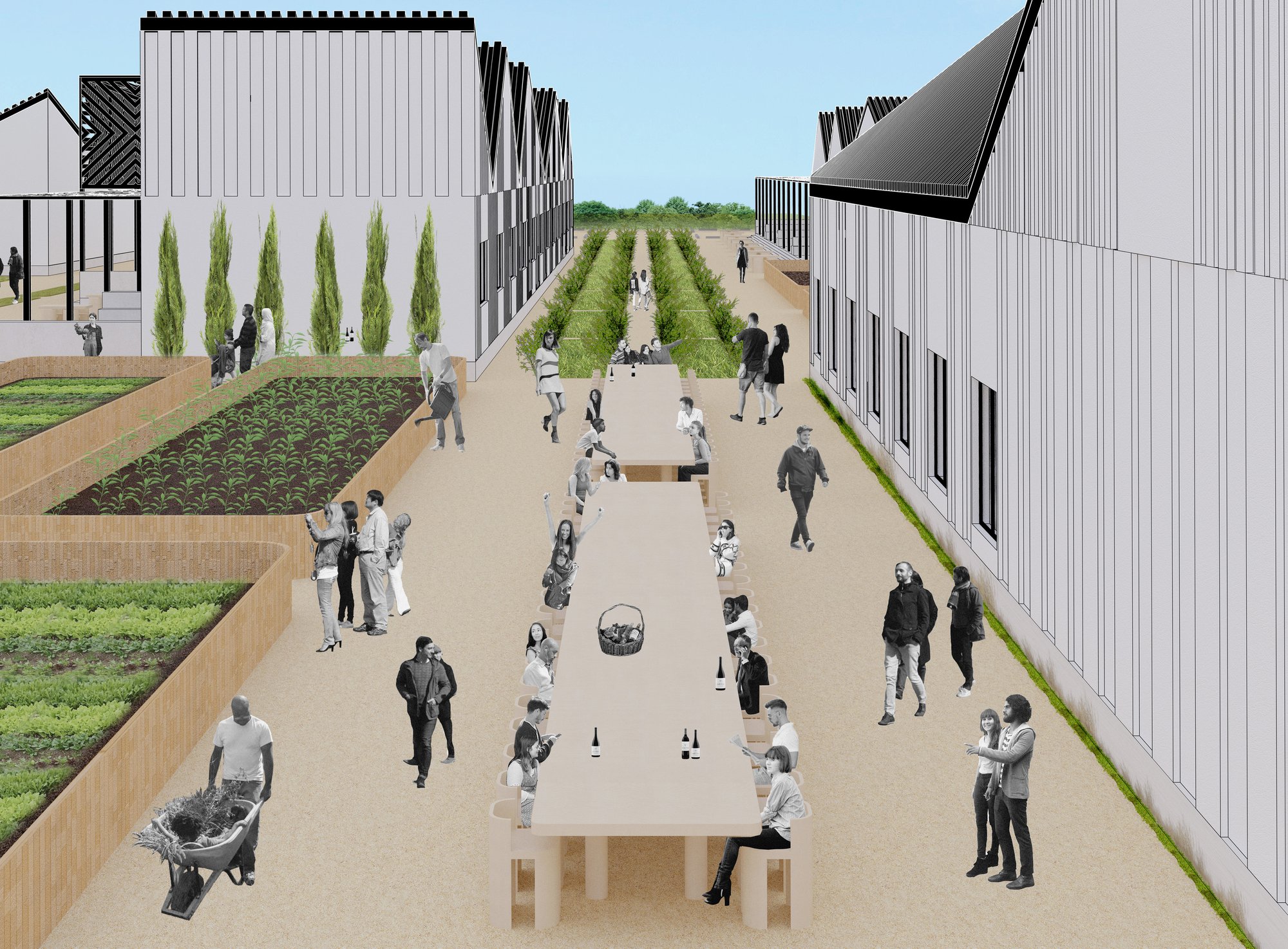 Pour Winery: A Study in Black and White 