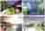 Renders