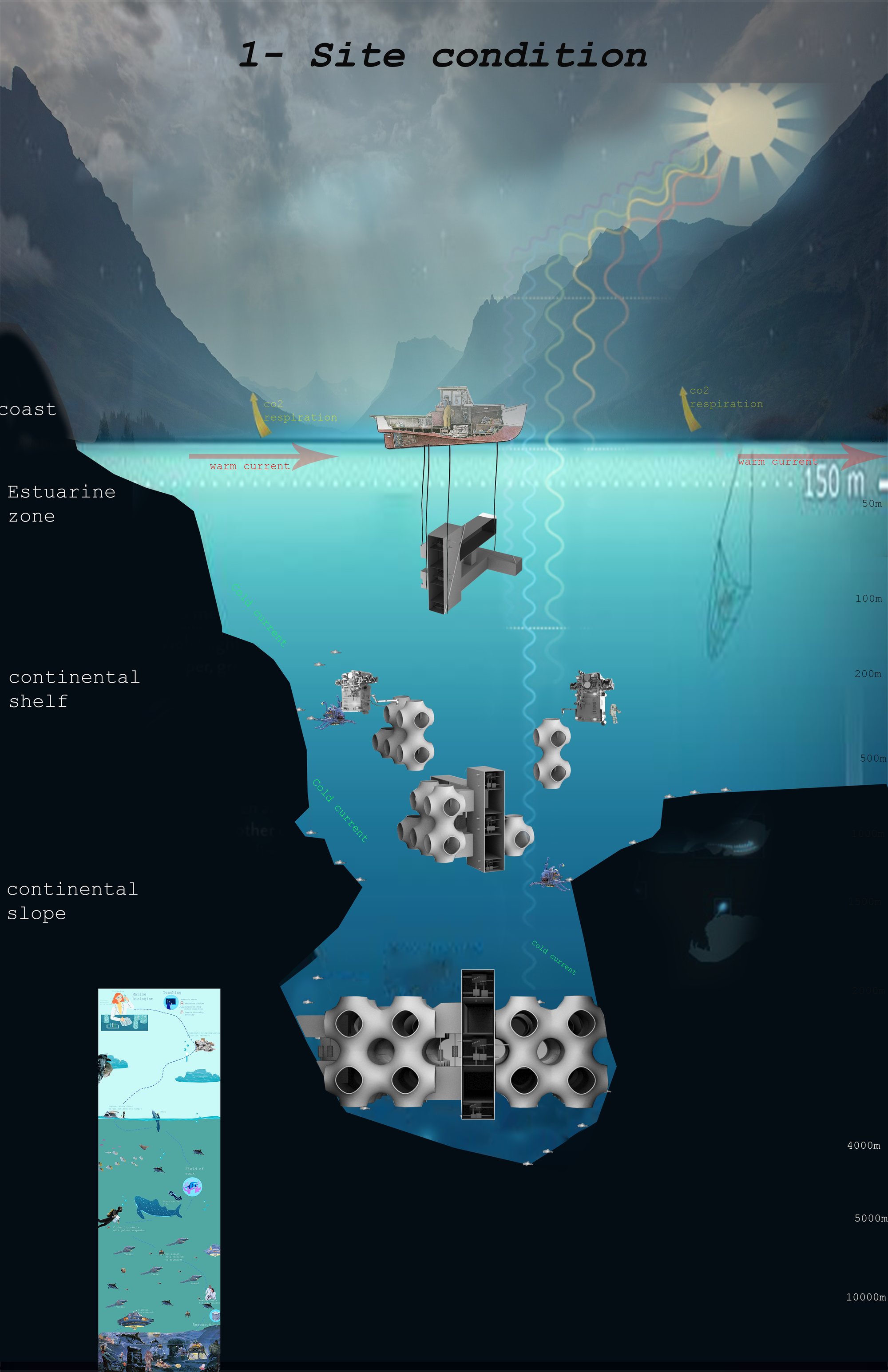 CONTINENTAL SHELF RECYCLING HABITAT