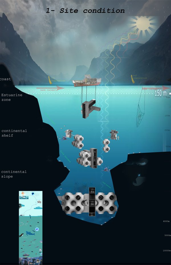 CONTINENTAL SHELF RECYCLING HABITAT