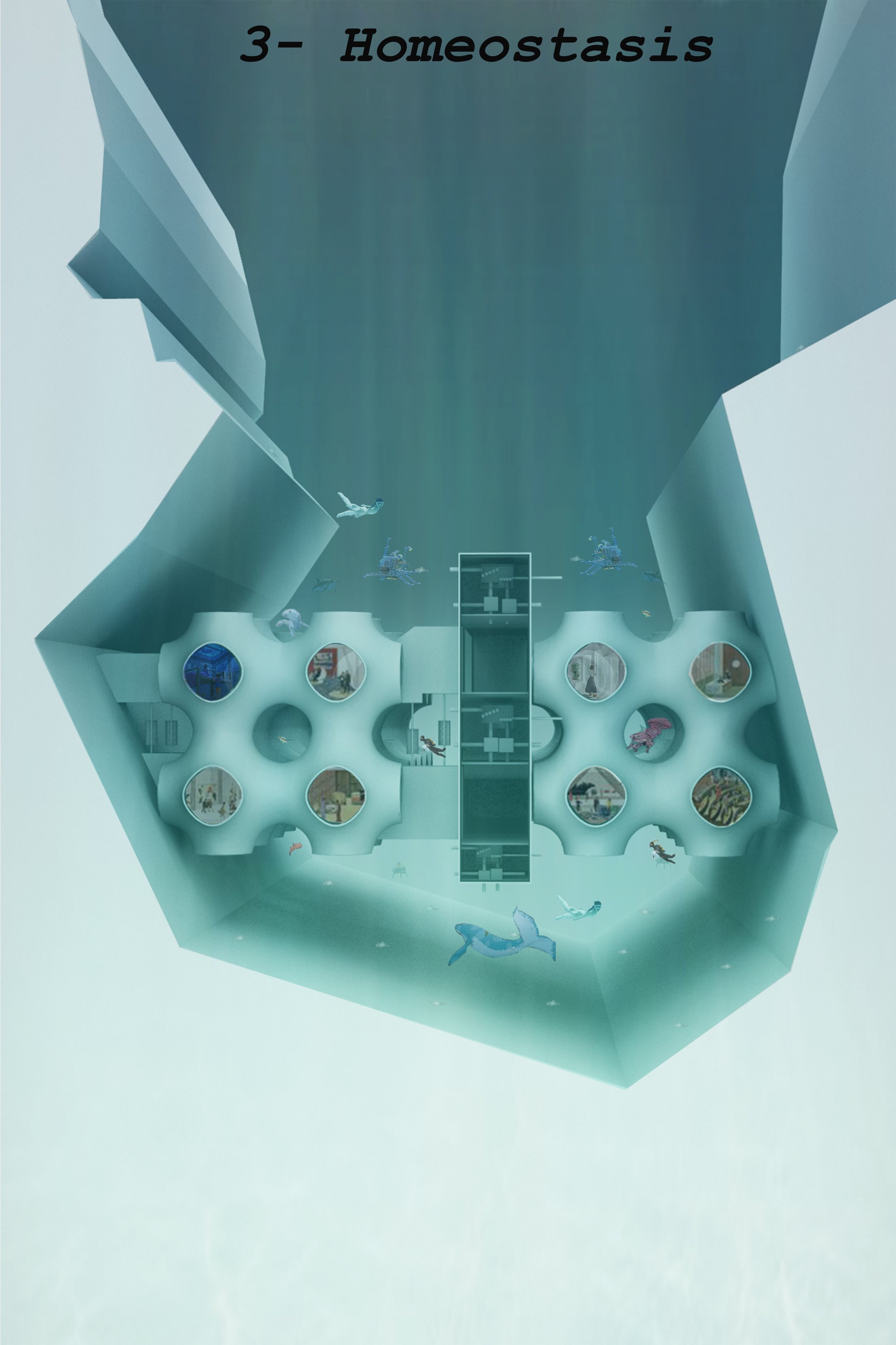 Homeostasis