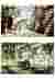Render Images