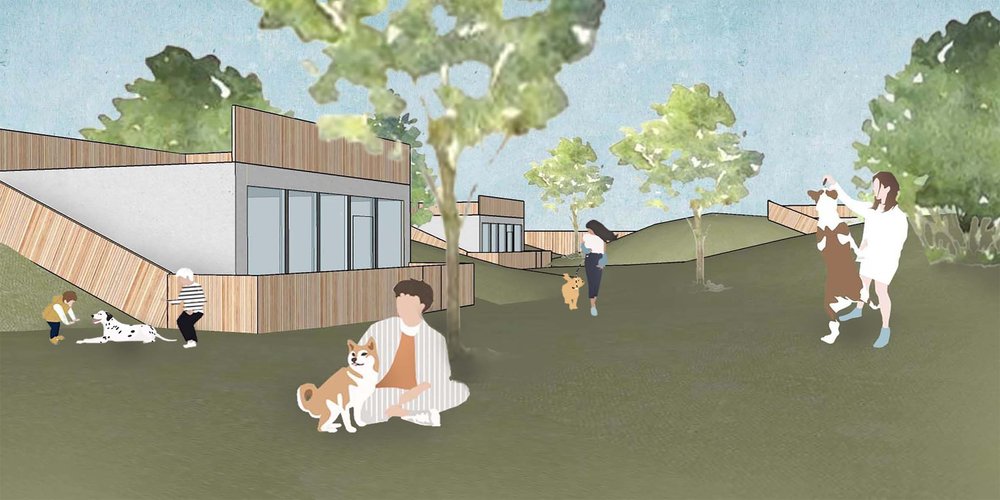 Temporary home for dogs