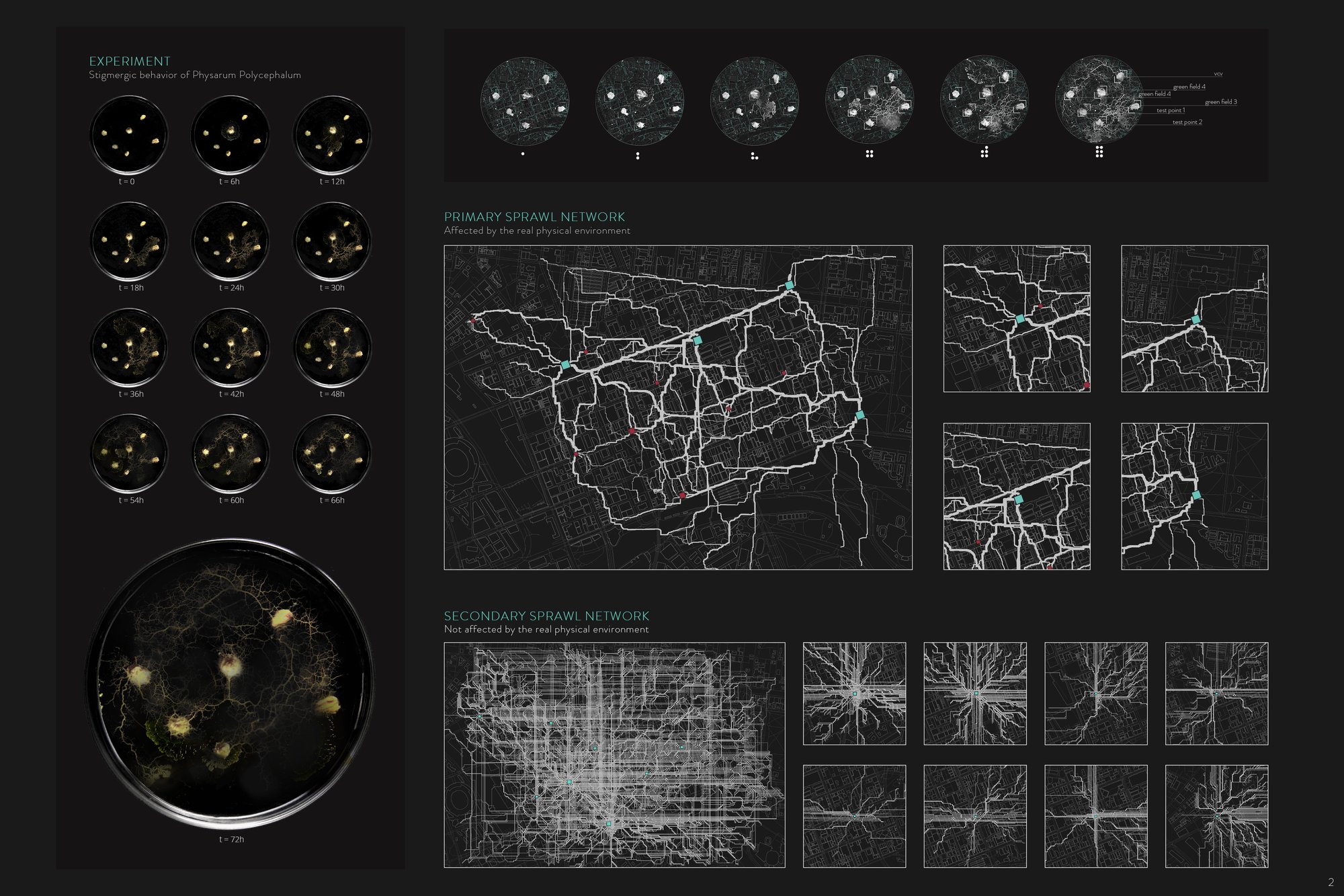Intermind_2