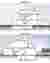 SECTIONS