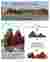 Page 1 - Concept