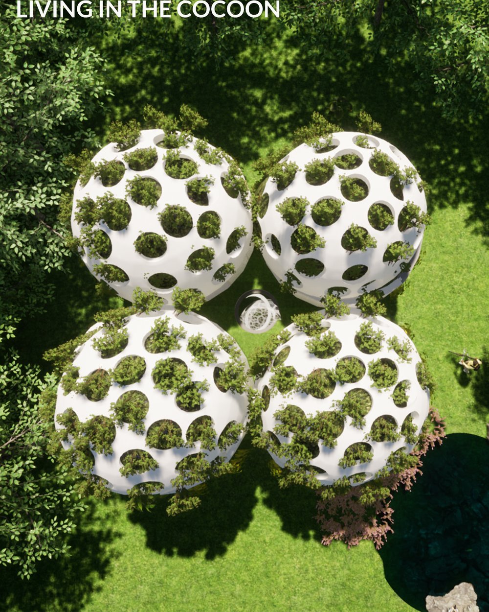 Living in the Cocoon