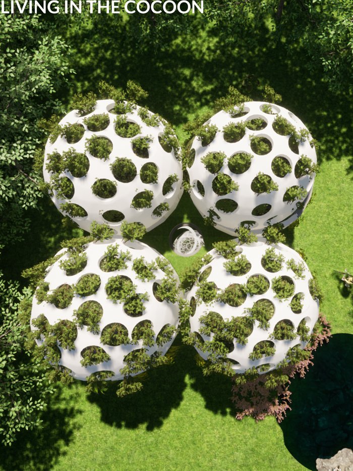 Living in the Cocoon