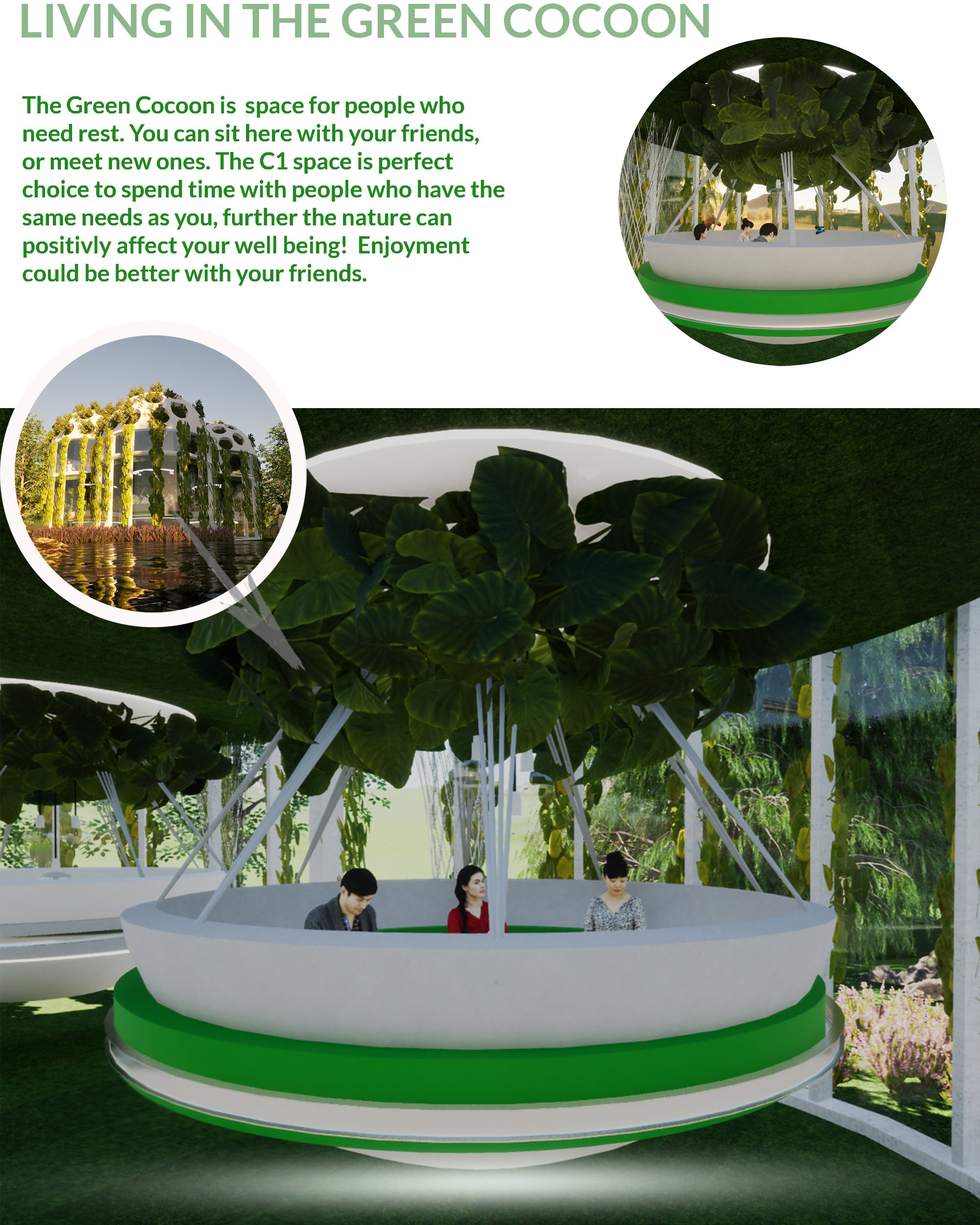 Green Cocoon board
