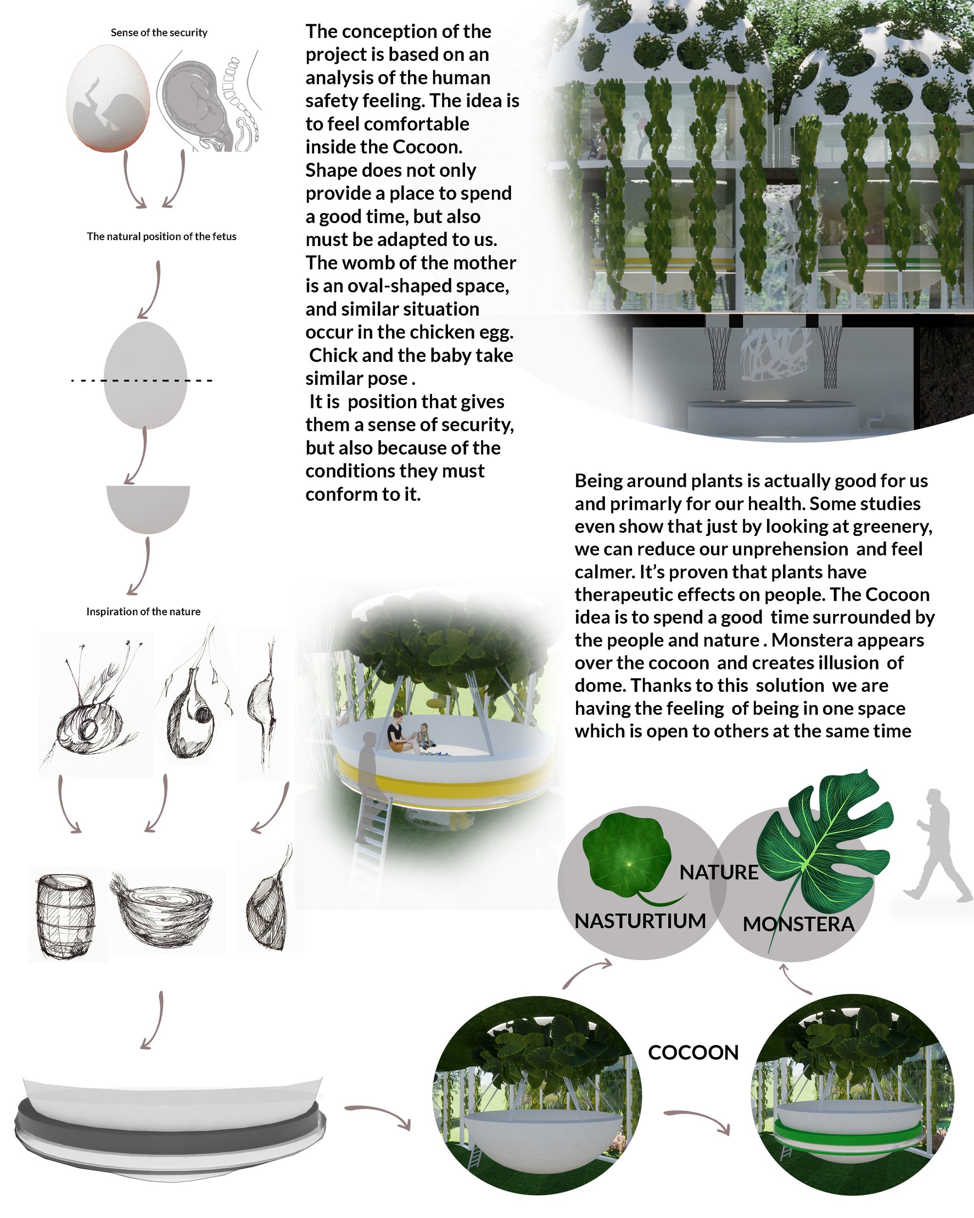 Conception part1