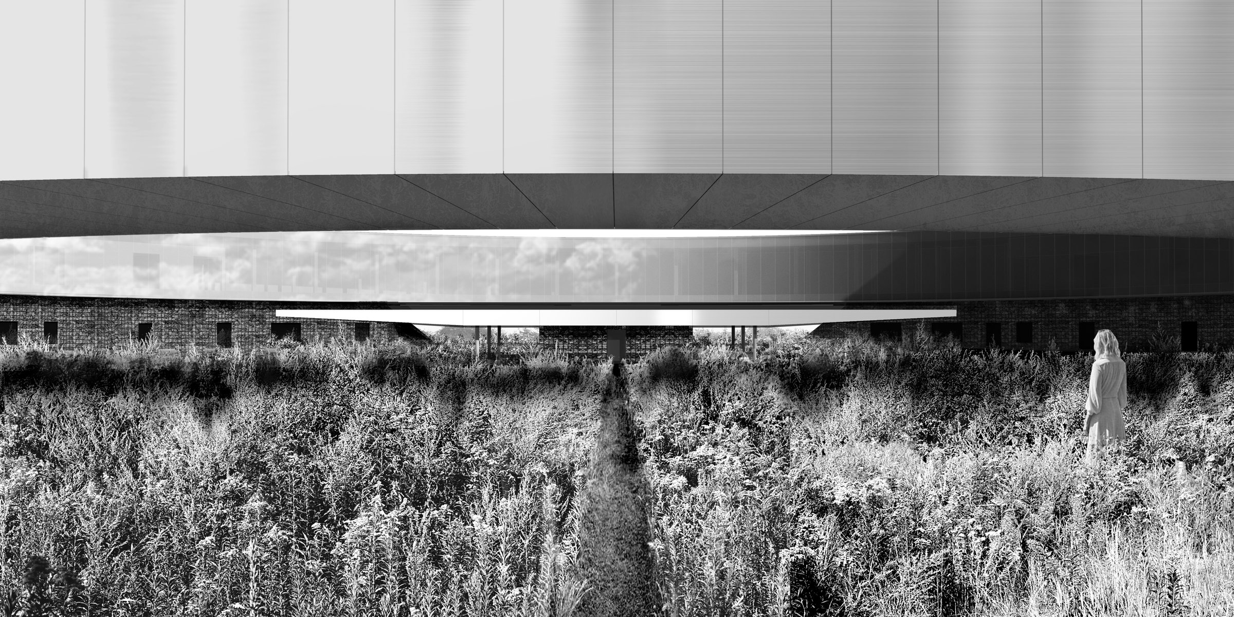 seeing - Herbarium, Wrocław