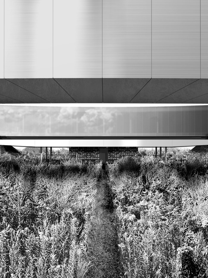 seeing - Herbarium, Wrocław