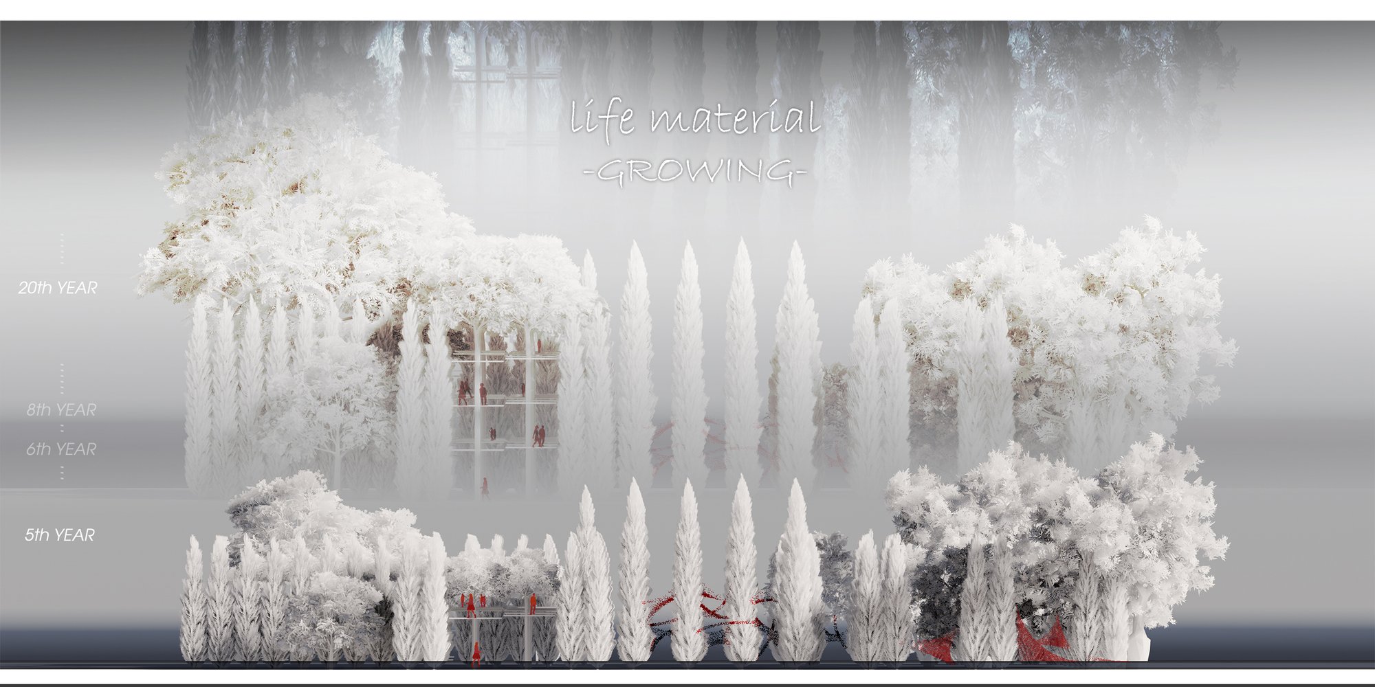 LIFE MATERIALS: GROWING