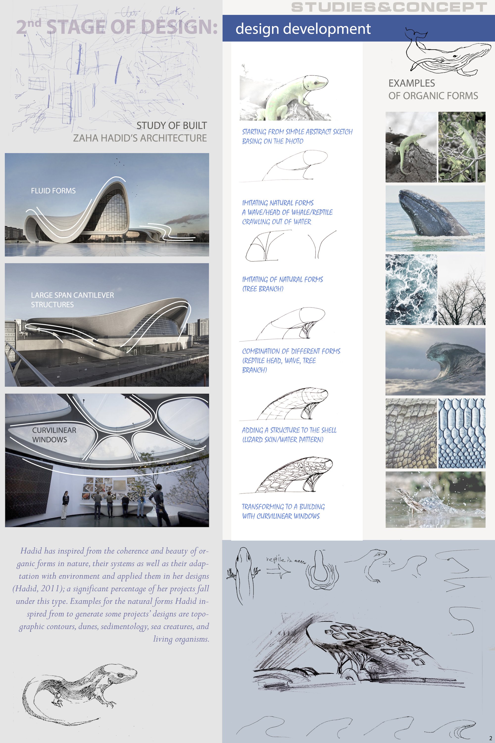 STUDIES & CONCEPT