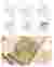 HE[x]AL