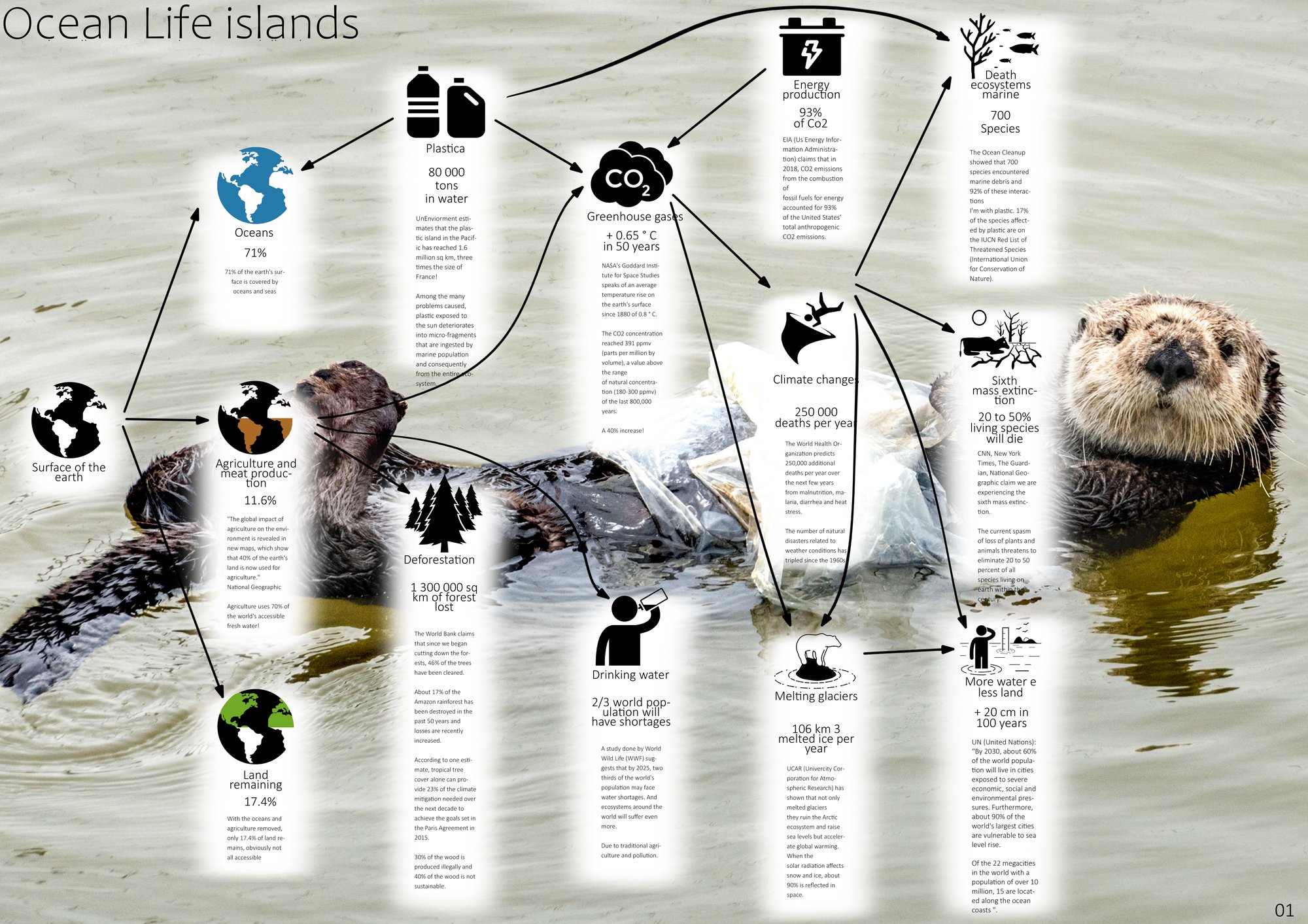 Ocean Life Architecture