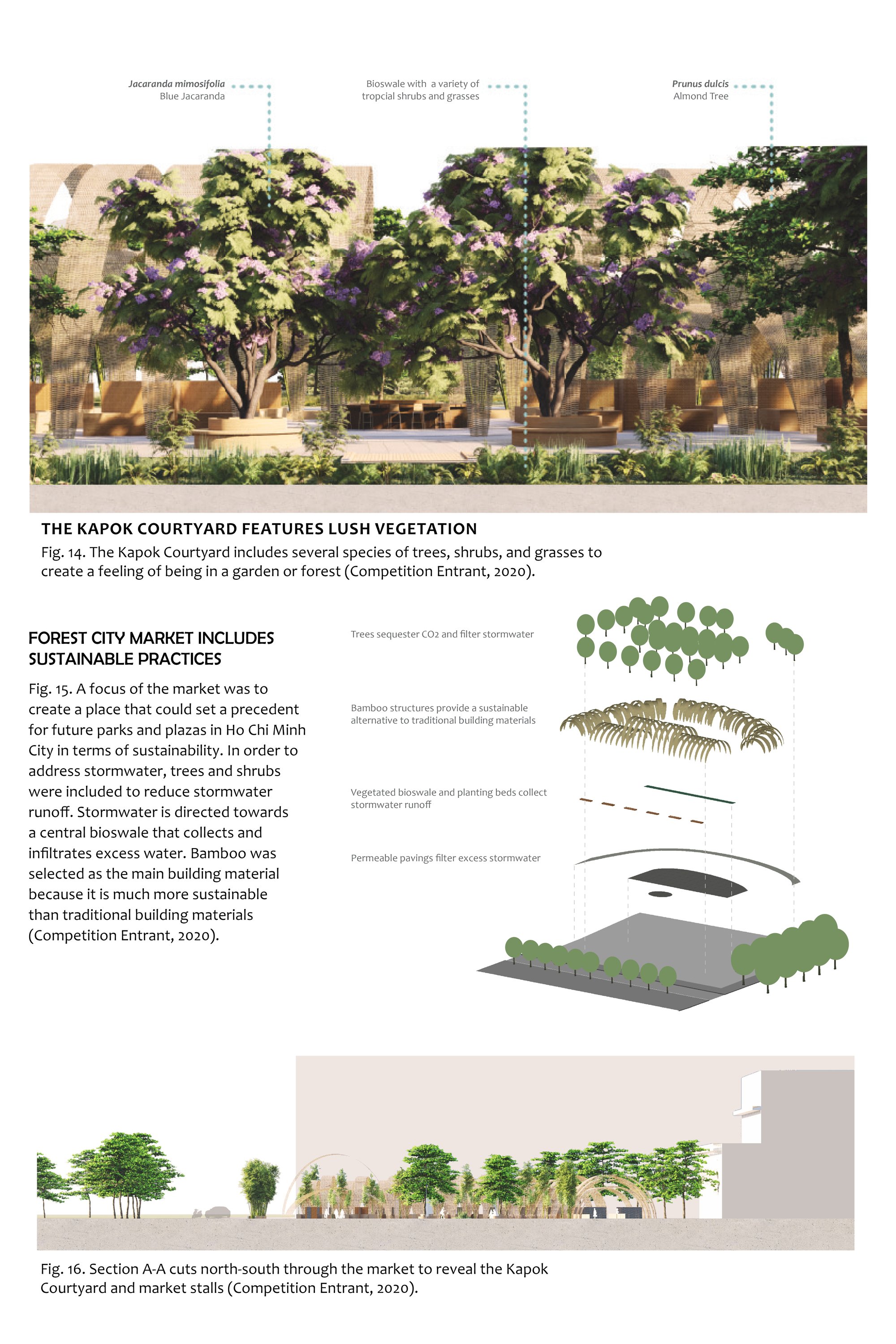 Sustainability of the Market