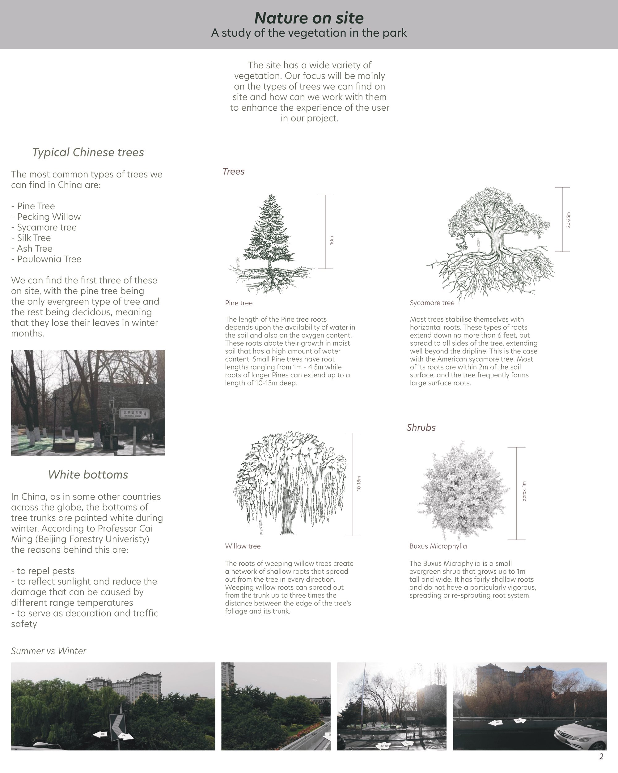 Nature on Site