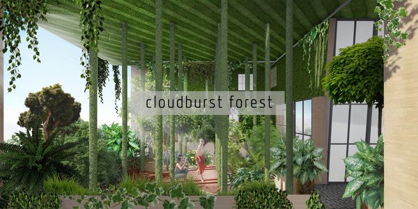 Cloudburst Forest ('暴雨森林')