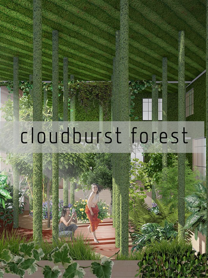 Cloudburst Forest ('暴雨森林')
