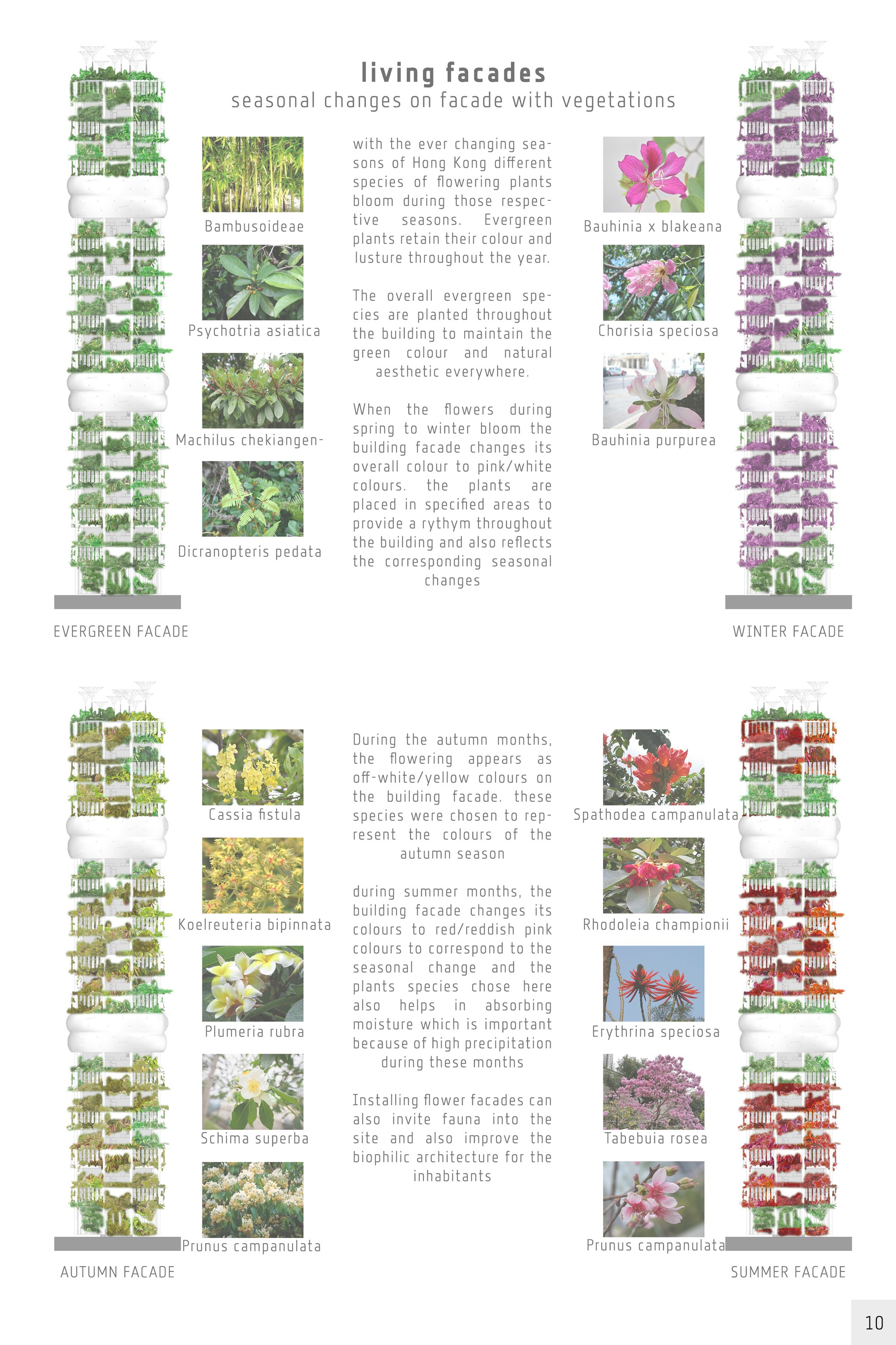 10.Facade Design