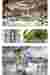 Visualizations