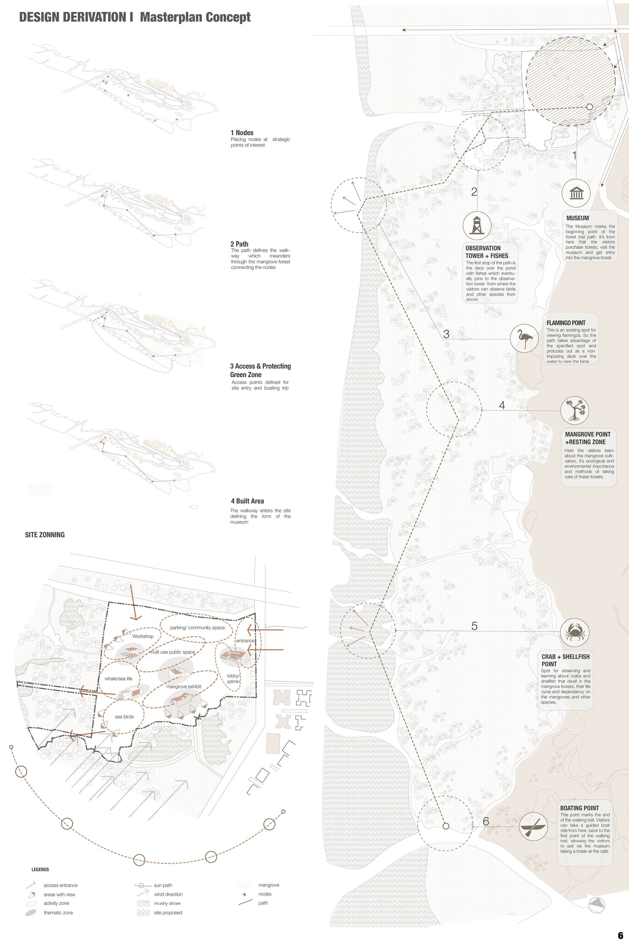 DESIGN DERIVATION I Mangrove pathway & Museum