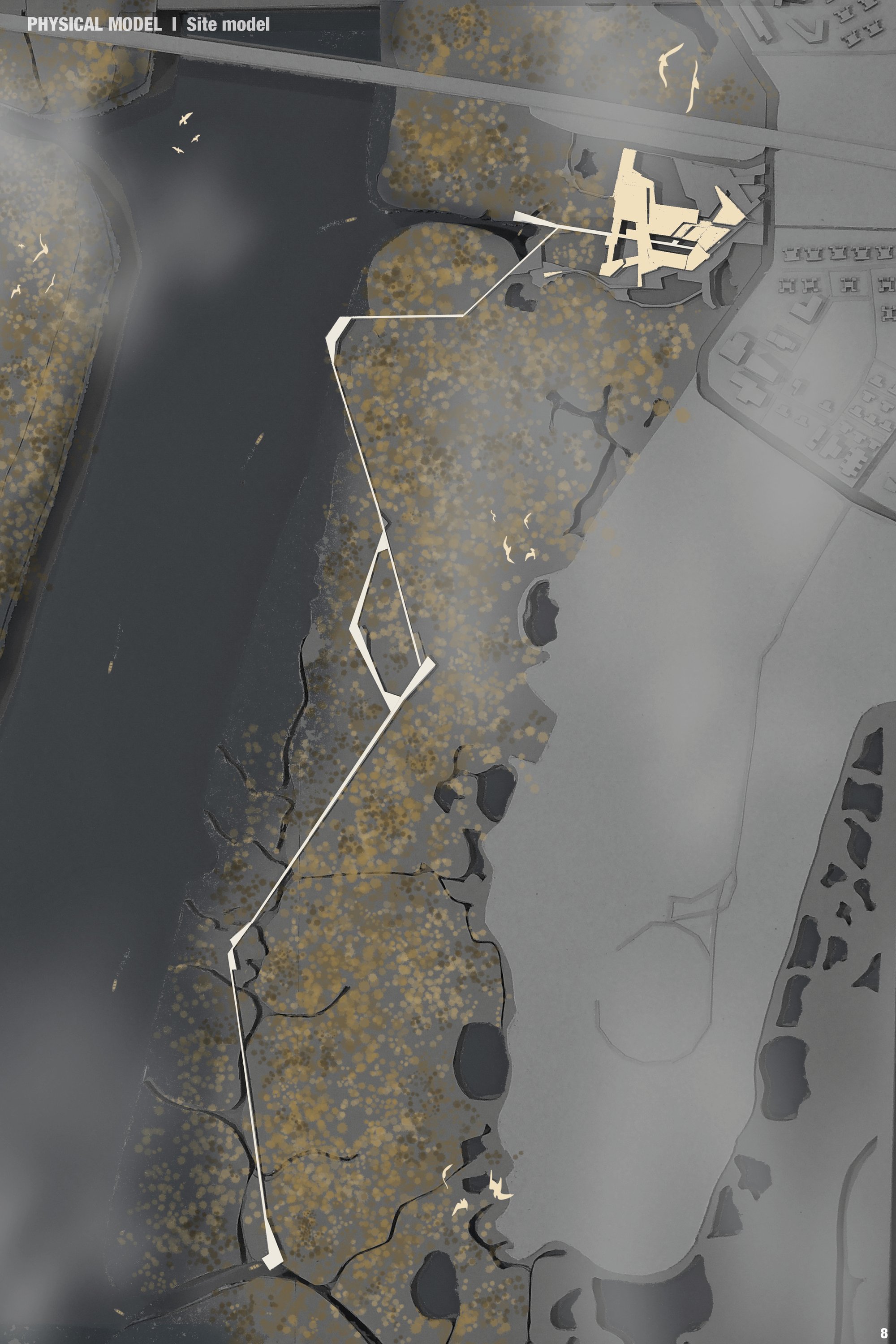 SITE PHYSICAL MODEL
