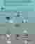 05 ATTICULATION OF CONCEPT