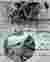 01 MACRO, MACRO CONTENT AND CONCEPT