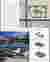 Site Plan and Concept