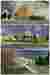 Sheet 10_Pause_MUSE