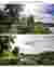 Visualizations