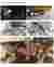 Interior Views and Internal public spaces