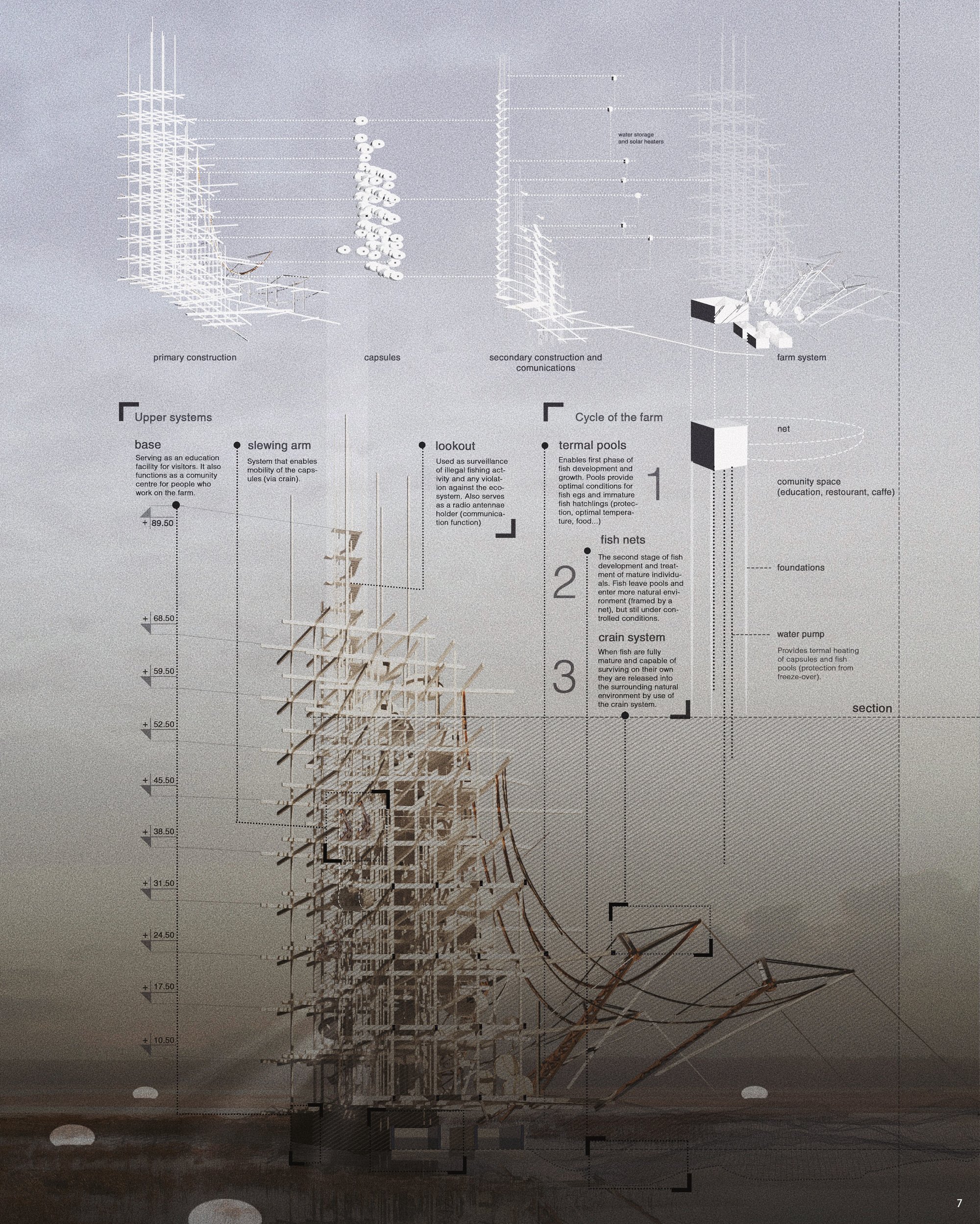 Perspective section