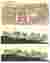 Site plan and site sections