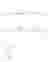 Sections