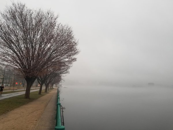 A DAY OF NATURE'S INVASION