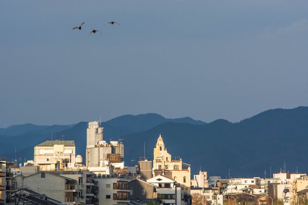 A HUMAN-SATURATED NATURE