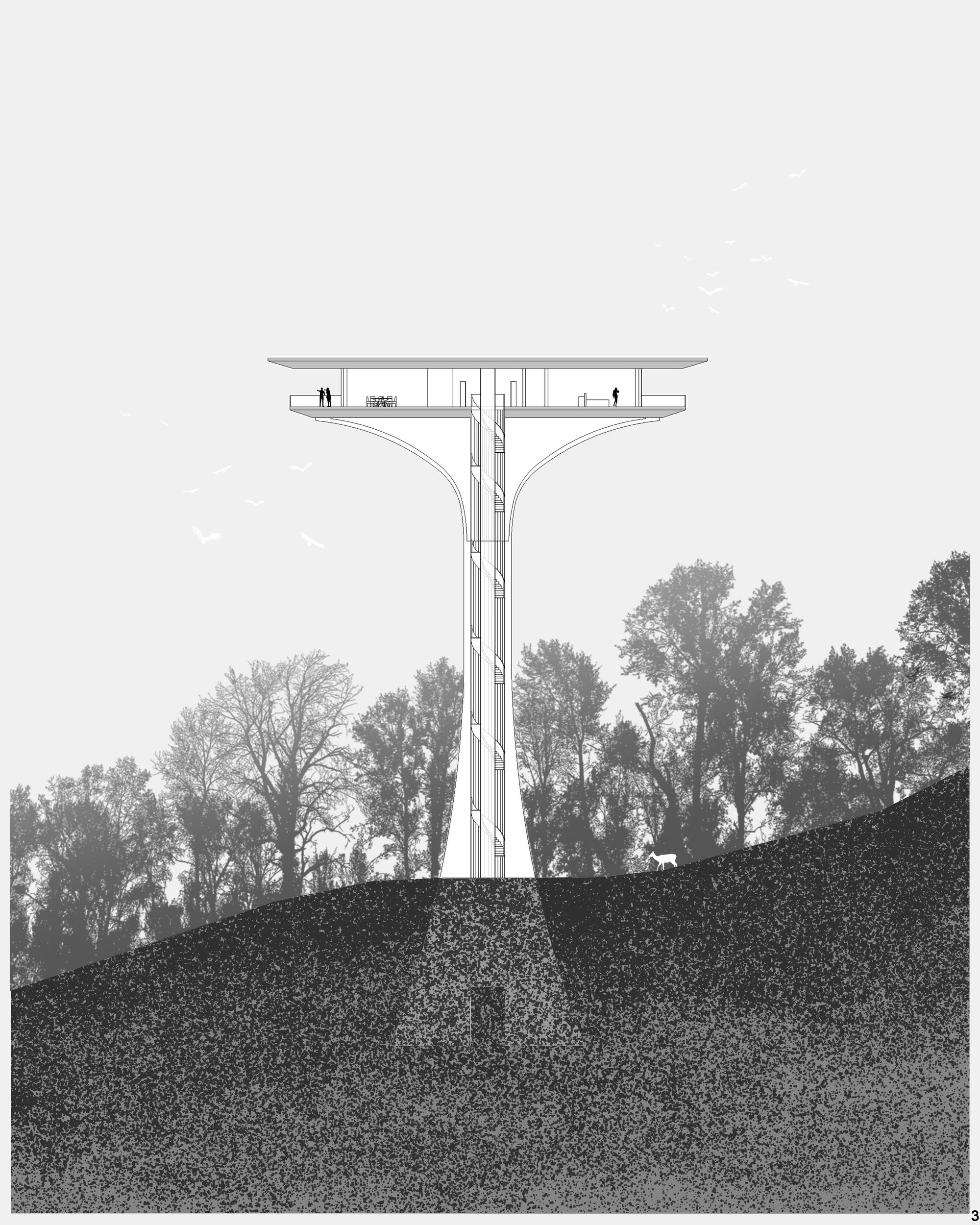 SECTION