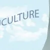EDUCULTURE