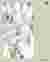 Site plan_TwoTowers