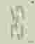 Layout plan_third floor_TwoTowers