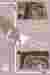 Detail sheet 3